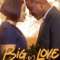 Big Love Movie Poster