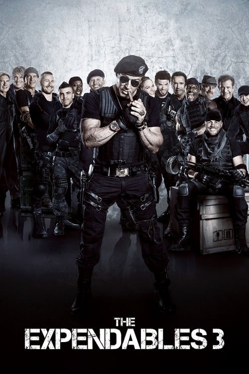 The Expendables 3 Movie Poster