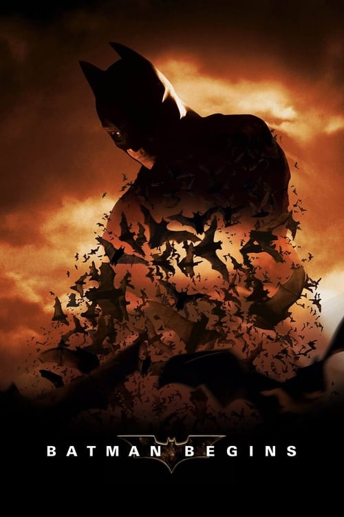 Batman Begins Movie Poster