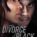 Tyler Perry's Divorce in the Black Movie Poster