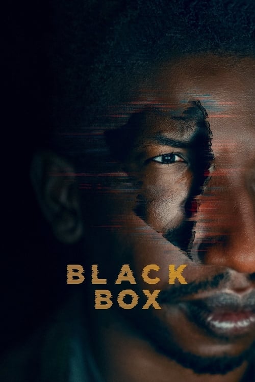 Black Box Movie Poster