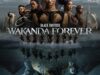 Black Panther: Wakanda Forever Movie Poster