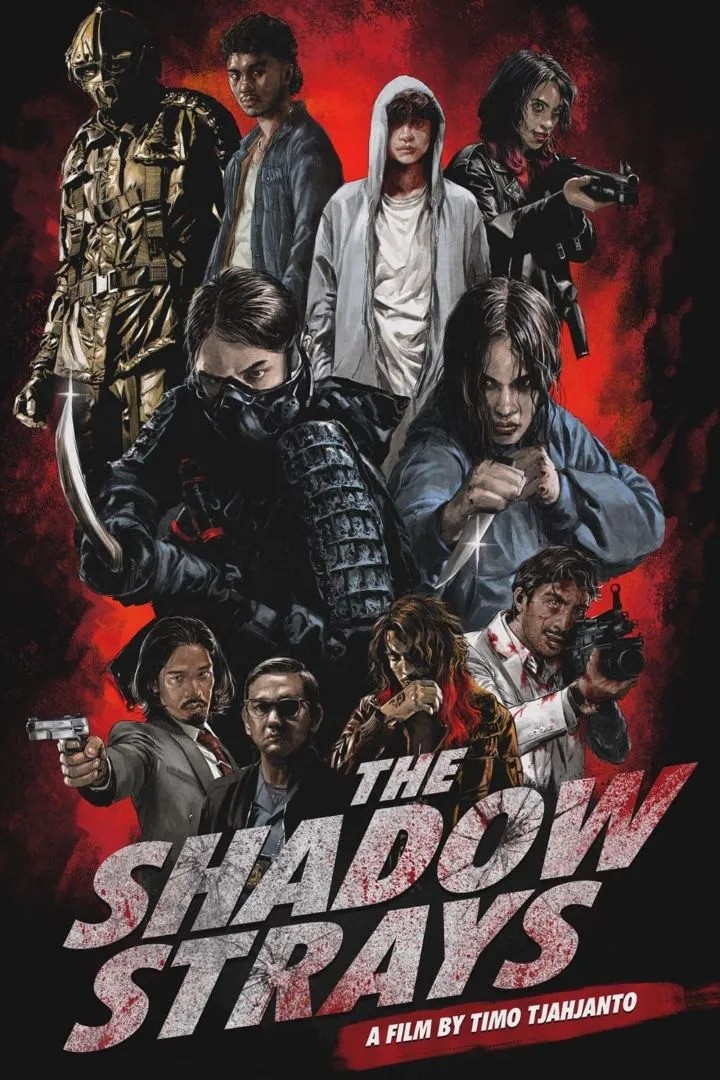 The Shadow Strays Movie Poster