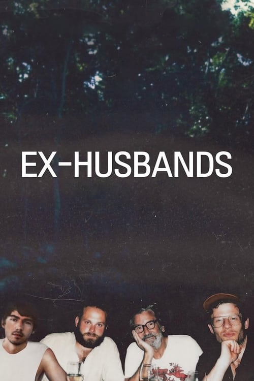 Ex-Husbands Movie Poster