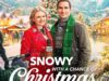 Snowy with a Chance of Christmas Movie Poster