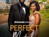 Perfect Match (2025) SA Movie