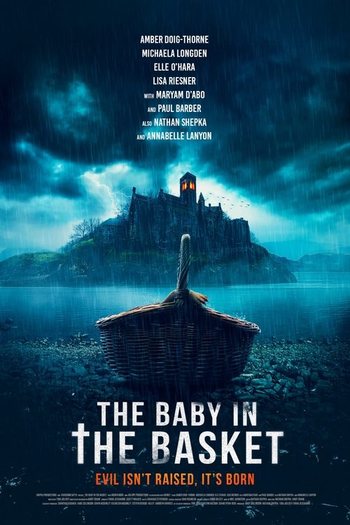 The Baby in the Basket 2025 Movie Poster