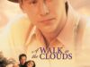A Walk in the Clouds 1995 Movie Poster