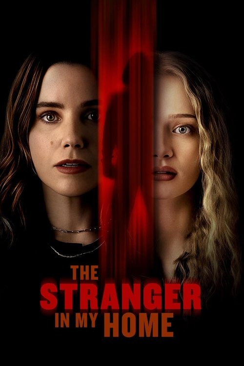 The Stranger in My Home 2025 Movie Poster