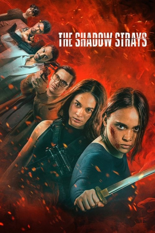 The Shadow Strays 2024 Movie Poster