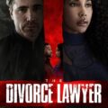 The Divorce Lawyer (2025) The Divorce Lawyer (2025)